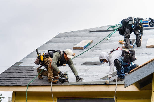 Professional Gutter Installation technician working in Poplar Grove, IL